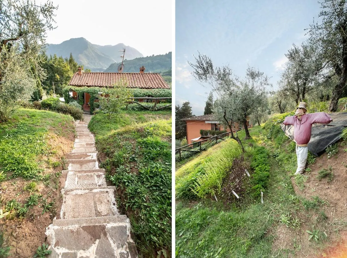 Casetta Di Butia, Gelsomino Apartment Borgo a Mozzano 0*,